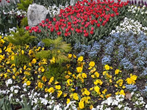 Flowers Bed Flower Bed Discounts Color