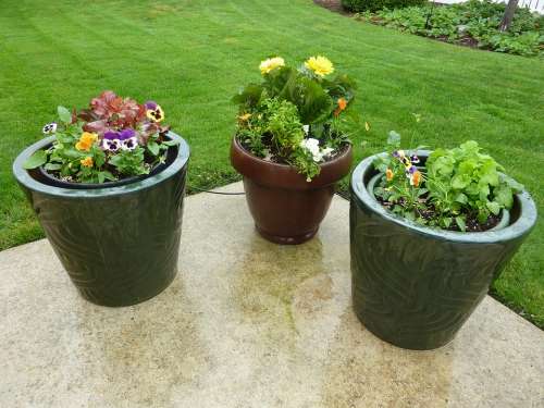 Flowers Pots Patio Potted Containers Garden Plant