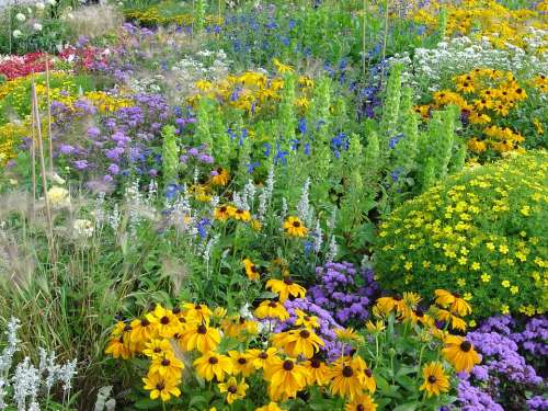 Flowers Summer Garden Park Biodiversity Colorful