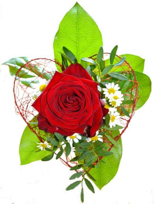 Flowers Rose Red Floral Arrangement Bouquet