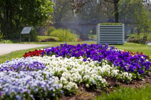 Flowers Flower Bed Spring Garden Park