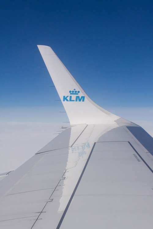 Flying Klm Flight Transport Airline Wing Signet