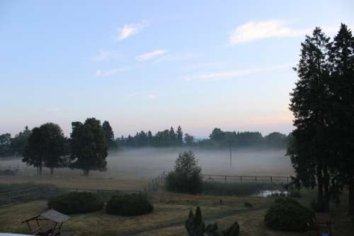 Fog Morning Sky Nature Trees