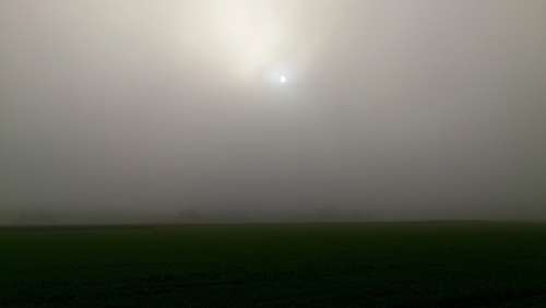 Fog Field Sun Trist Grey Atmospheric Backlighting
