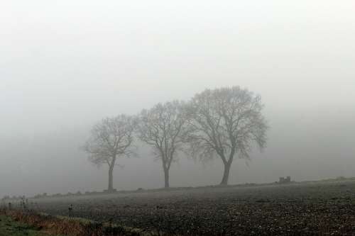 Fog Autumn Nature Mystical Weather Mood Weather