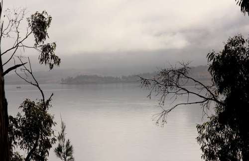 Fog Coast Bank Water Clouds Rain Lake