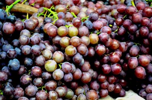 Food Fruit Grape Grapes Globe Grapes Summer