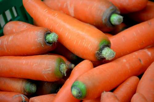 Food Vegetable Carrot Root Plant Orange
