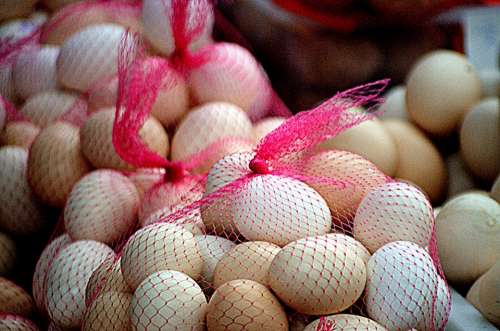 Food Eggs Egg Netted Business Sale Selling