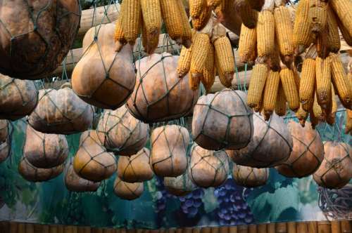 Food Corn Squash Harvest Bounty Storage