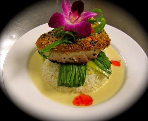 Food Cuisine Dinner Sesame Tuna Delicious