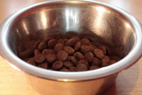 Food Bowl Fressnapf Dog Food Dried Fodder
