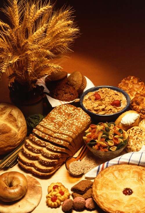 Foods Based Wheat Bread Drink Food