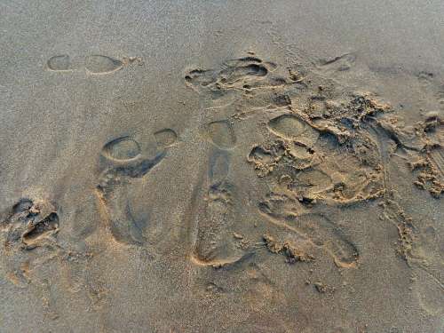 Foot Prints Sea Sand Beach Footprint Coast Print