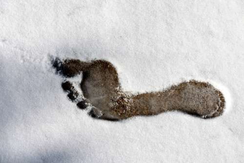Footprint Bare Foot Foot Outline Snow Cold Ice