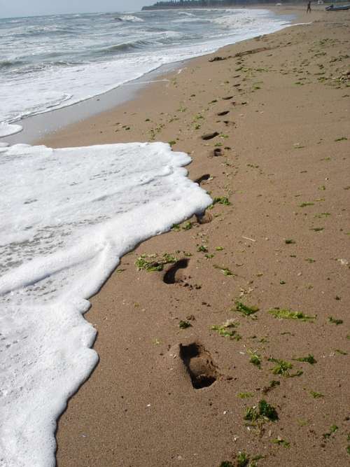 Footprints Beach Sand Seaside Sea Water Coast