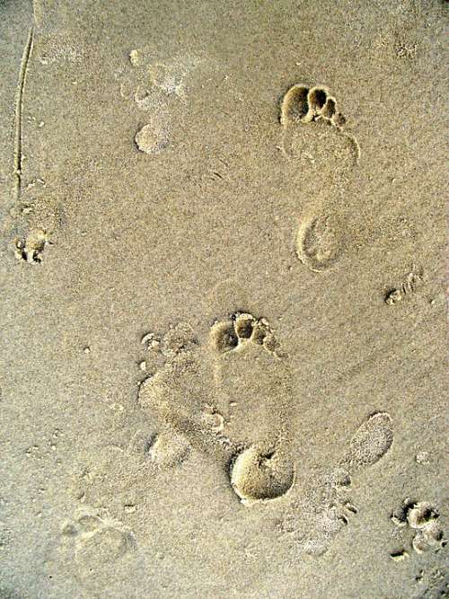 Footprints Footprint Beach Traces Water Sea Sand