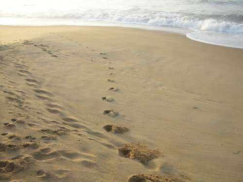 Footprints Beach Sand Ocean Coast Tracks Walk