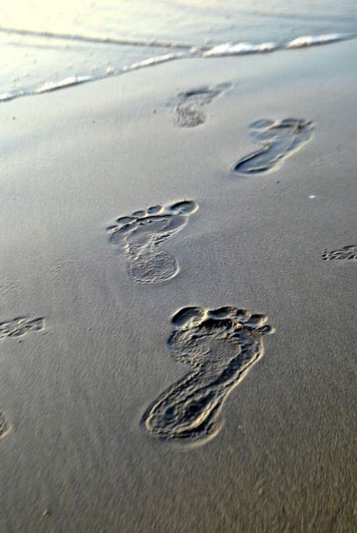 Footsteps Sand Traces Barefoot Footprint Beach