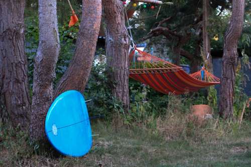 Forest Surfboard Hammock Darss Summer Baltic Sea
