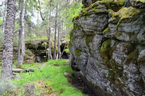 Forest Wild Wood Summer Magic Place Of Power Rocks