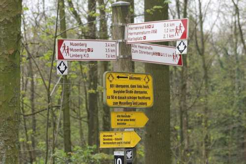 Forest Directory Hagen Terrain
