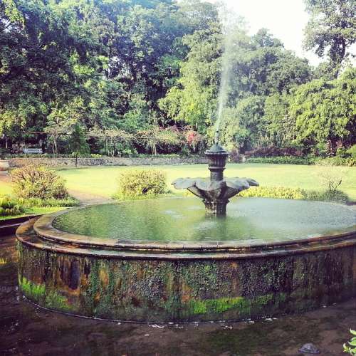 Fountain Vintage Grunge Botanical Garden Indonesia