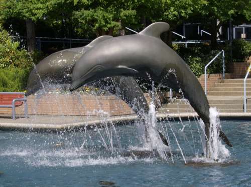 Fountain Dolphin Statue Sculpture