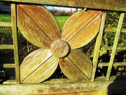 Four Leaf Clover Luck Wood Wood Fence Close Up