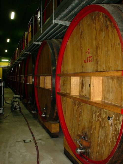 Frescobaldi Nipozzano Wine Cellar Wine Barrels