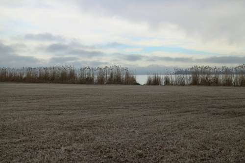 Frost Hoarfrost Mood Meadow Reed Water