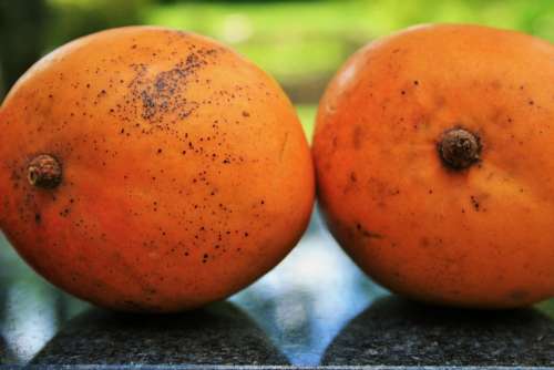 Fruit Mangoes Round Orange Fresh Tropical