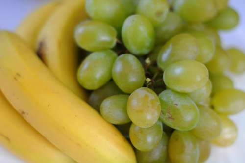 Fruit Grapes Food