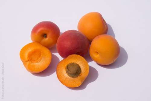 Fruits Apricots Fruit Still Life Healthy Sweet
