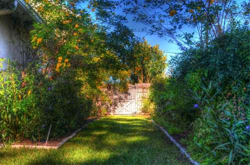 Garden Nature Gate Wooden Gate Flowers Blooms Hdr