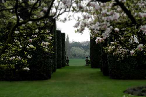 Garden Classical Garden Magnolia Walled Pathway