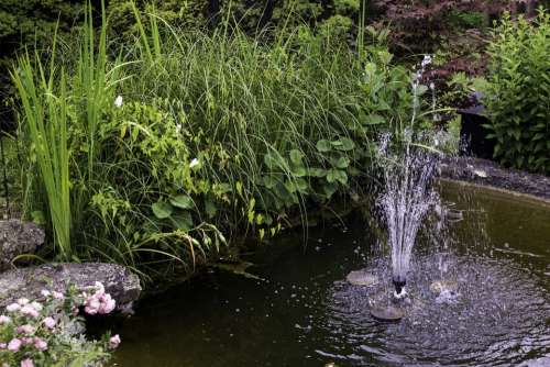 Garden Pond Aquatic Plant Water Nature Fountain