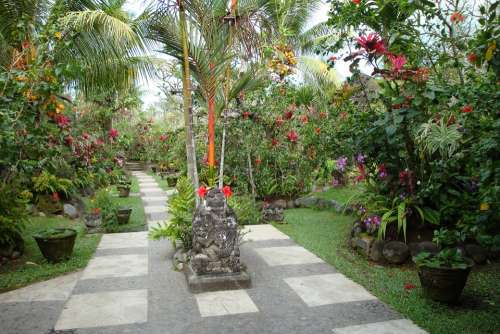 Garden Tropical Bali Peace