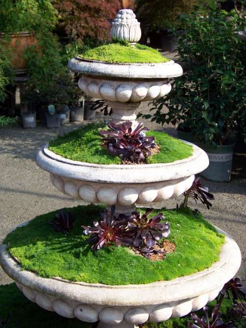 Garden Plant Plants Container Three Tier Potted