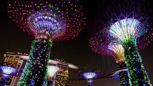 Garden By The Bay Singapore Night Lighting Landmark