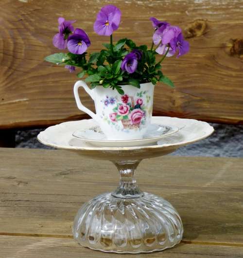 Garden Decoration Violet Plant Cup And Saucer