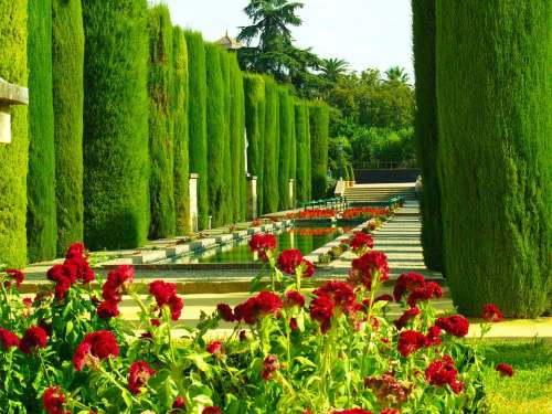 Gardens Cordoba Vegetation Flowers Pond Andalusia