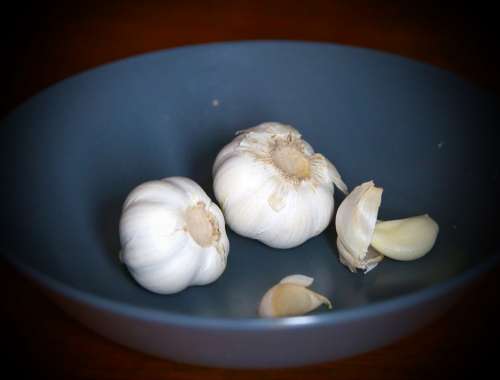 Garlic Spices Food Lunch Dinner Healthy Tasty