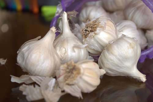 Garlic Fresh Spices Food Healthy Vegetable