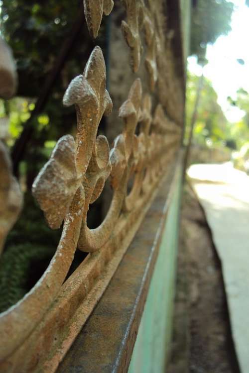 Gate Old Gate Rusty Gate Macro Effect Warm Day