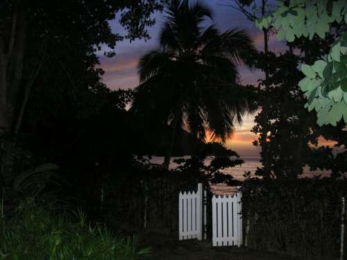 Gate Night Outdoors Sunset Leaves Beach Palm Tree