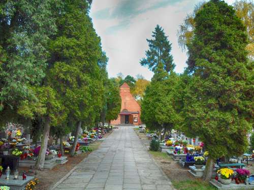 Gdansk Poland Cemetery Graves Flowers Hdr Trees
