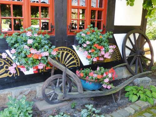 Geranium Flowers Cart Wheelbarrow Wheel Window