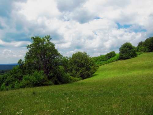 Germany Meadow Landscape Scenic Summer Trees