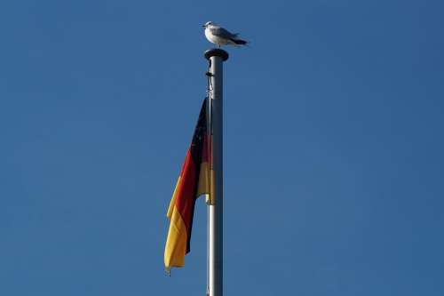Germany Flag Wind Flutter